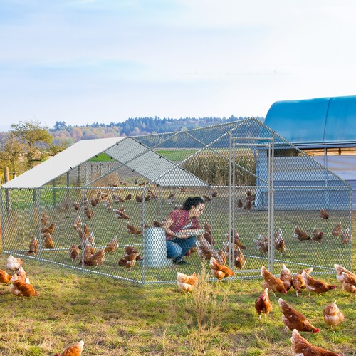 20x10ft large chicken coop - chicken, run