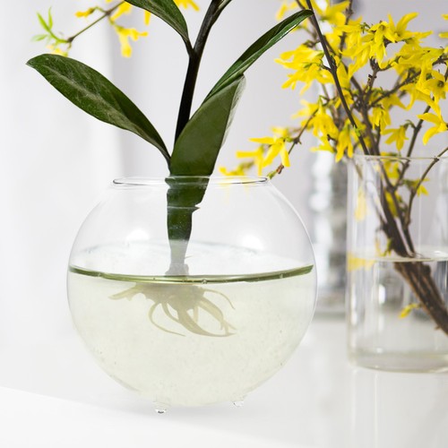 Multi function transparent - multi-function,