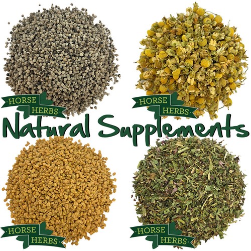 Horse herbs natural feed - horse,