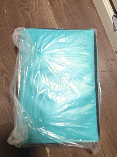 Isolated food delivery bag - isolated,