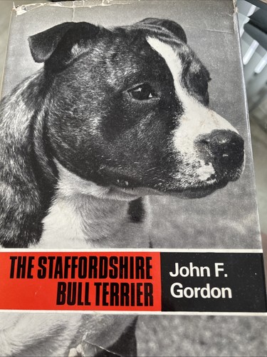 The staffordshire bull terrier - bull,