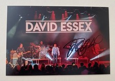 David Essex hand signed 6x4