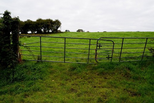 Photo 6x4 gates - photo, carony