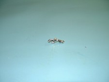 JAGUAR E TYPE/ MK2 CHROME METAL ASHTRAY/SEAT BELT BUCKLE MOTIF BADGE BD20412