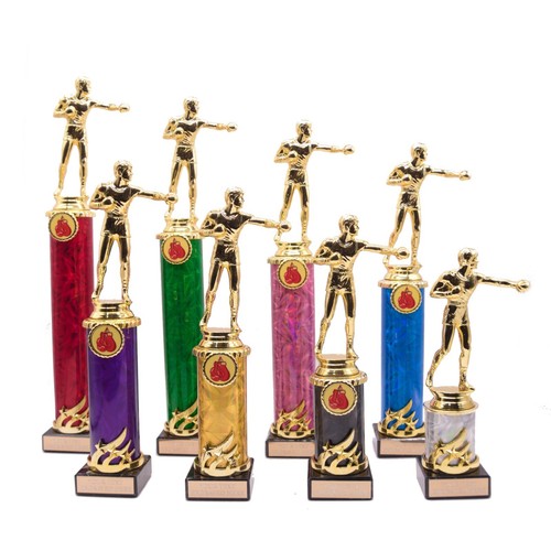 Personalised gold boxing - boxing, boxer
