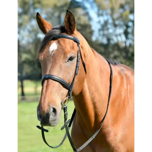 Kincade classic plain - plain, raised
