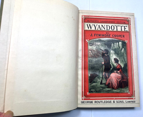 Wyandotte eve effingham - wyandotte,
