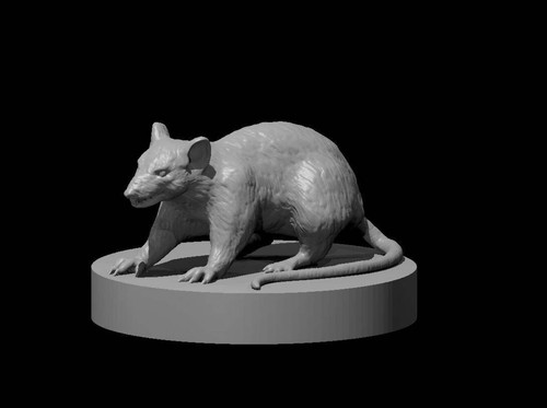 Giant rat for dungeons and - rat, d&d