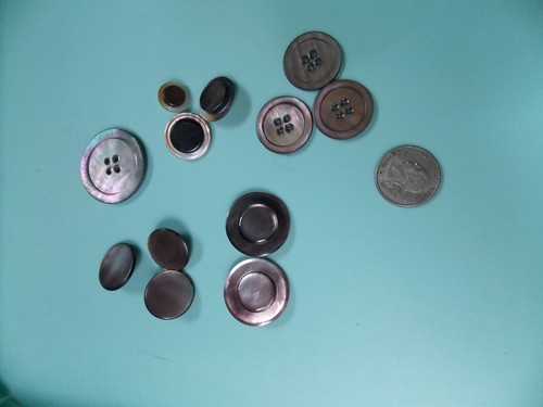 Vintage abalone shell - shell, buttons