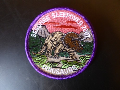 Old scouting badges patches - old, badges/patches