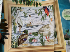 River Birds! British Bird