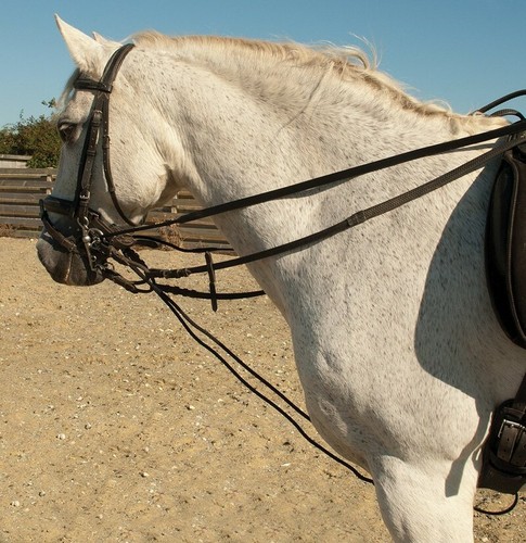 Rhinegold leather draw reins - rhinegold,