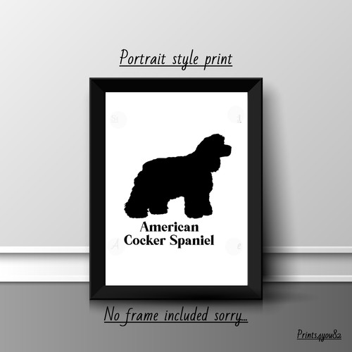 American cocker spaniel dog - ,