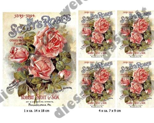 Scotts roses iron on - roses,