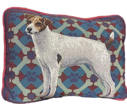 Jack russell terrier - jack,