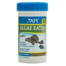 Api algae eater - api,
