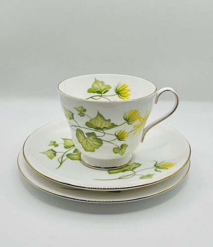 Shelley celandine 14013 - shelley,