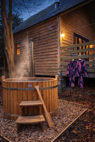 Log cabin stay dog friendly - cabin,