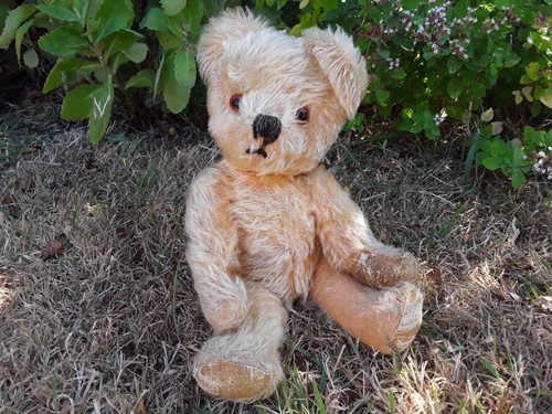 Gold vintage mohair - , bear