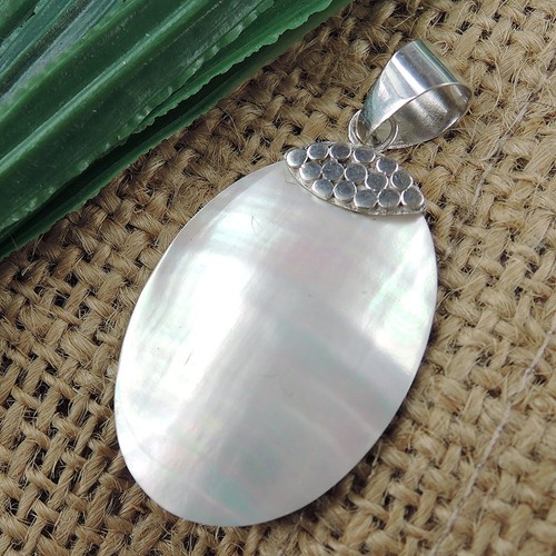Beige nautilus shell pendant - nautilus,