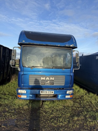 Man horse box - horse,