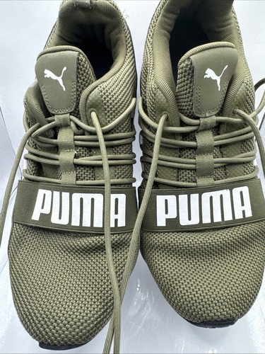 Puma cell regulate size - regulate,