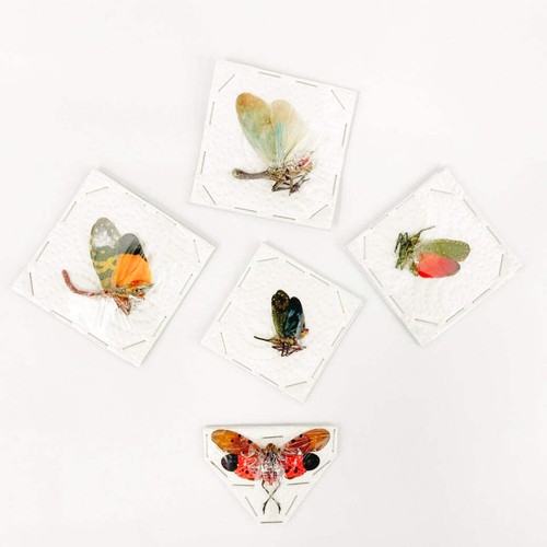 Various assorted lantern - x,