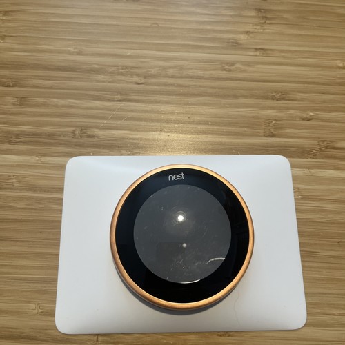 Google nest learning - google,