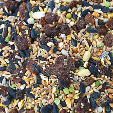 Love Your Pet Fruity Wild Bird