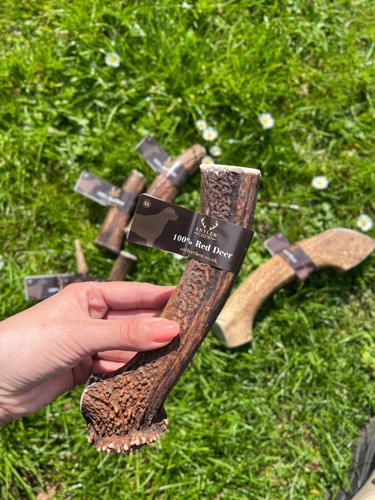 Antler chews for dogs - chews,