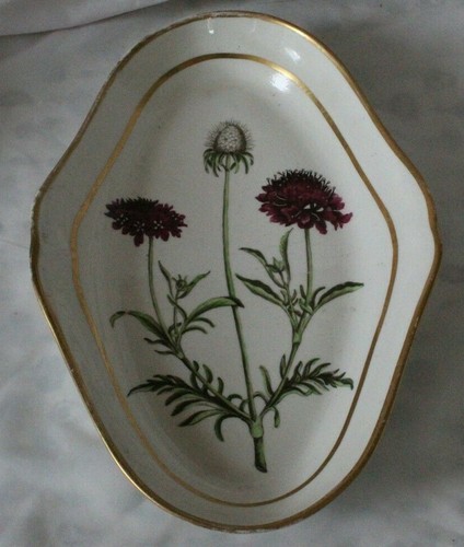 Creamware classical english - creamware,