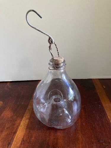 Vintage fly wasp insect - fly,