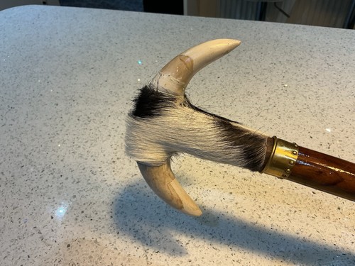 Walking stick with handle - walking,