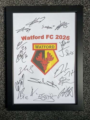 Watford football club 2026 - watford,