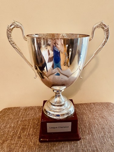 Big silver trophy - 🏆,