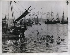 1933 Press Photo Plymouth