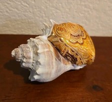 Sea Shell Pincushion Vintage White Gold Brown Yellow Print Fabric 