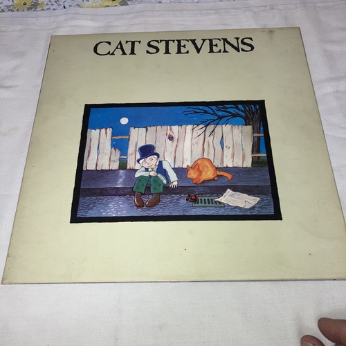 Cat steven teaser the - cat,