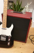 Polytone Mini-Brute IV Guitar Amplifier Combo