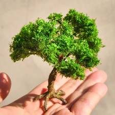 Miniature Pine Tree Model Wire