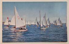 Flight Of The Snow birds 12 Ft