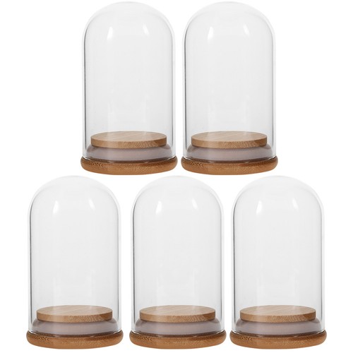 Pcs glass display dome - pcs,