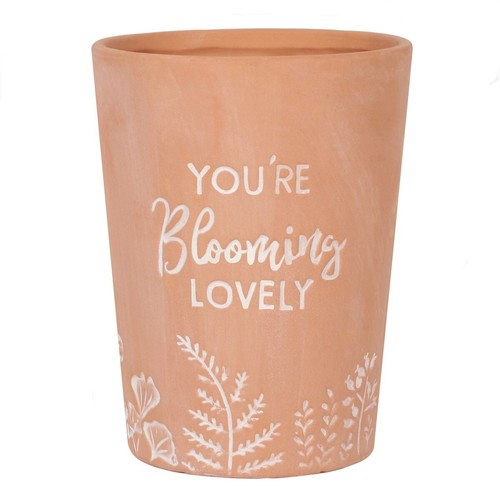 You blooming lovely - you're,