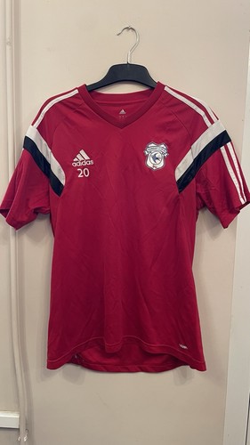 Cardiff city football red - city, fc
