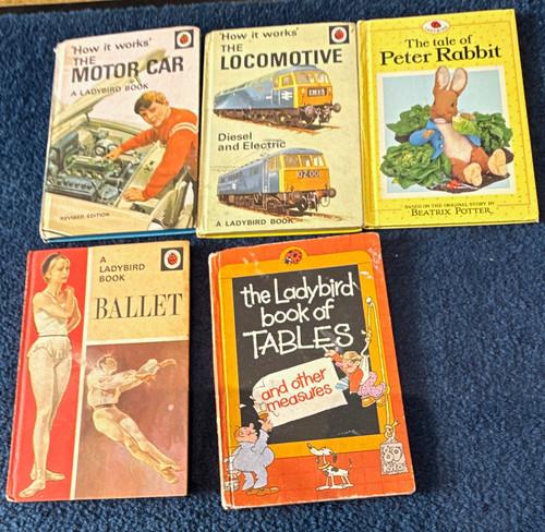 Ladybird hardcover book - ladybird,