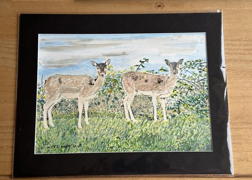 Mark leary art - mark, watercolour