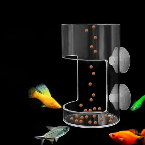 Aquarium feeding ring - aquarium,