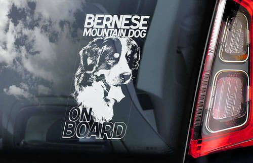 Bernese mountain dog car - mountain,