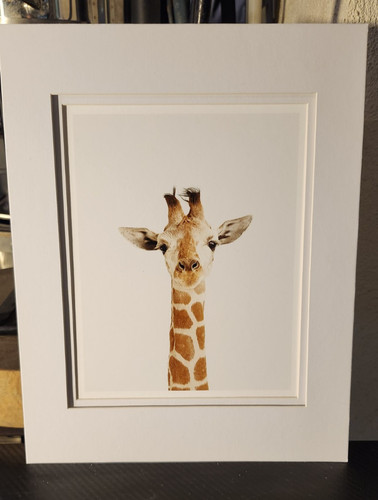 Signed sharon montrose little - signed,