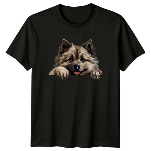 Cute keeshond dog - keeshond,